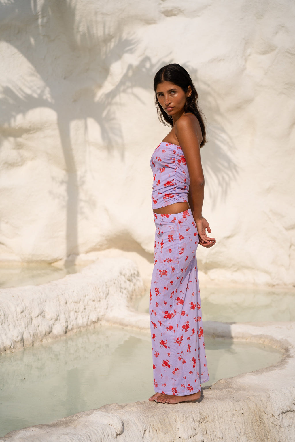 Clyde Mesh Skirt in True Romance