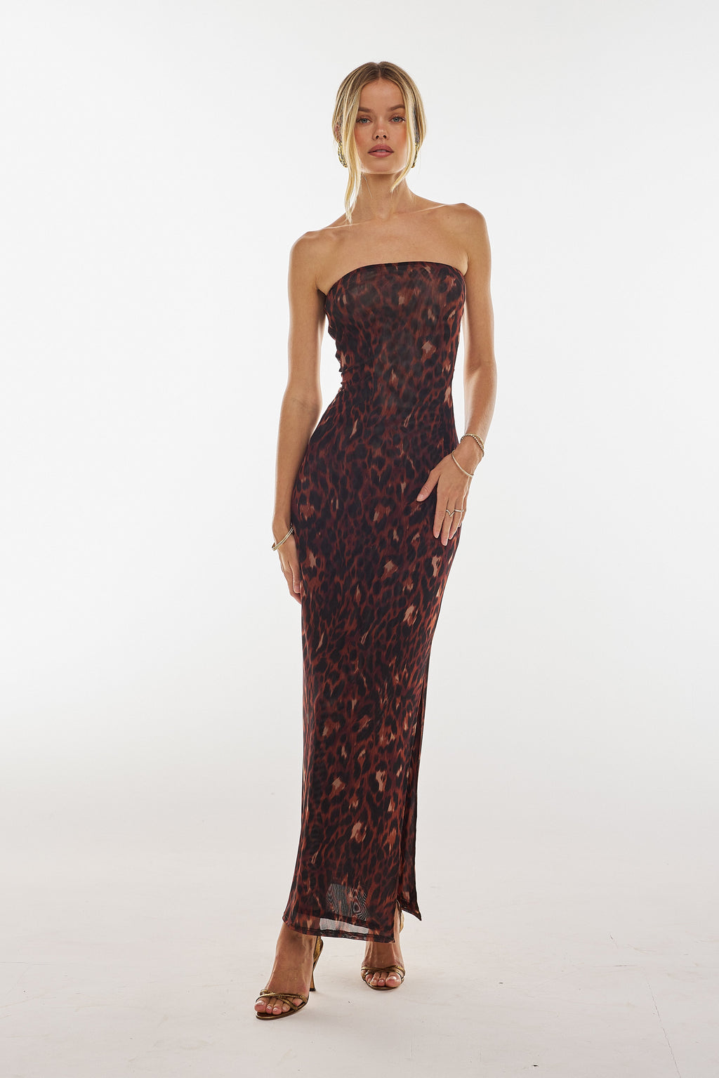 Demi Mesh Dress in Knox